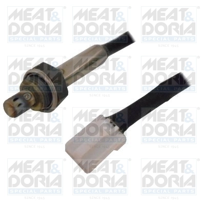 Oxygen Sensor